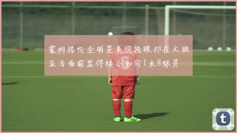 霍姆格伦全明星表现抢眼却在文班亚马面前显得矮小如同1米8球员